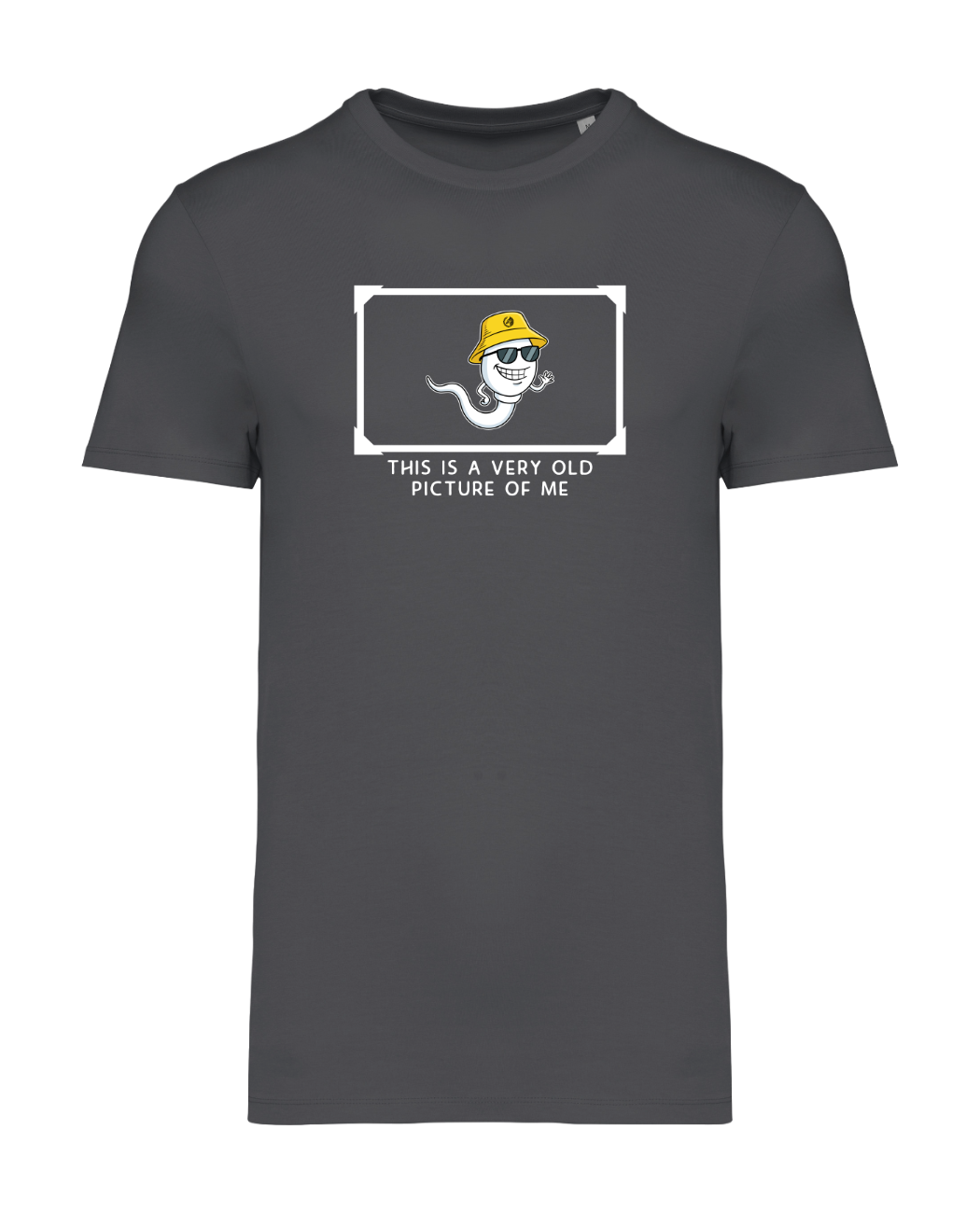 STANDHAFT T-SHIRT IRONGREY #OLD PICTURE