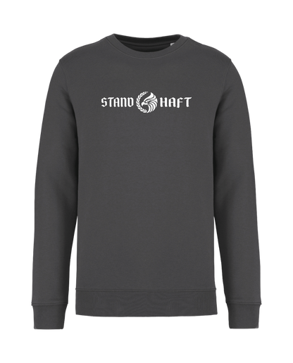 STANDHAFT BASIC SWEATSHIRT IRONGREY #ADLERKRANZ