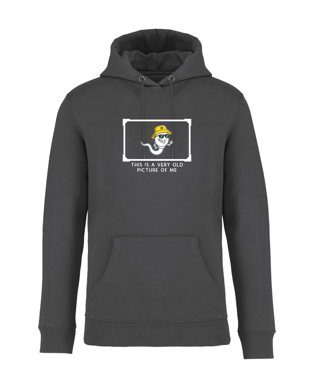 STANDHAFT HOODIE IRONGREY #OLD PICTURE