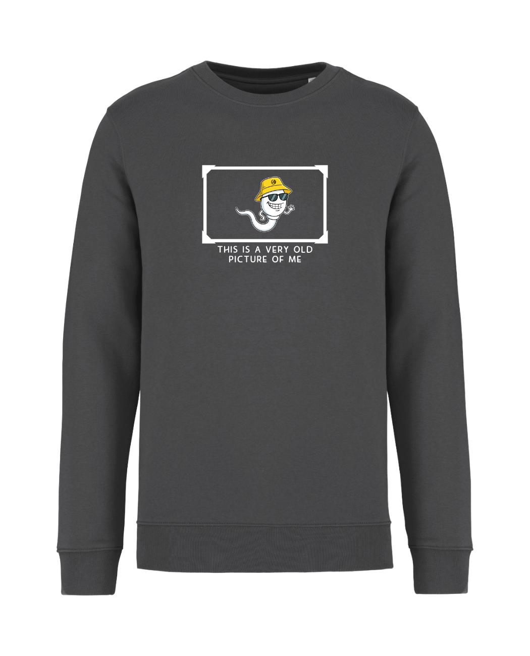 STANDHAFT SWEATSHIRT IRONGREY #OLD PICTURE