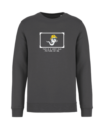 STANDHAFT SWEATSHIRT IRONGREY #OLD PICTURE