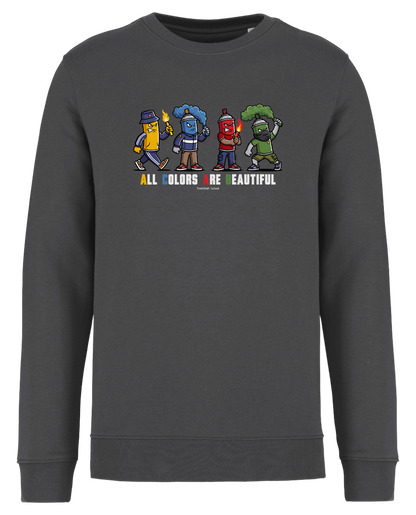 Grauer Sweatshirt-Pullover als Freisteller mit buntem „All Colors Are Beautiful“-Grafikprint auf der Brust.